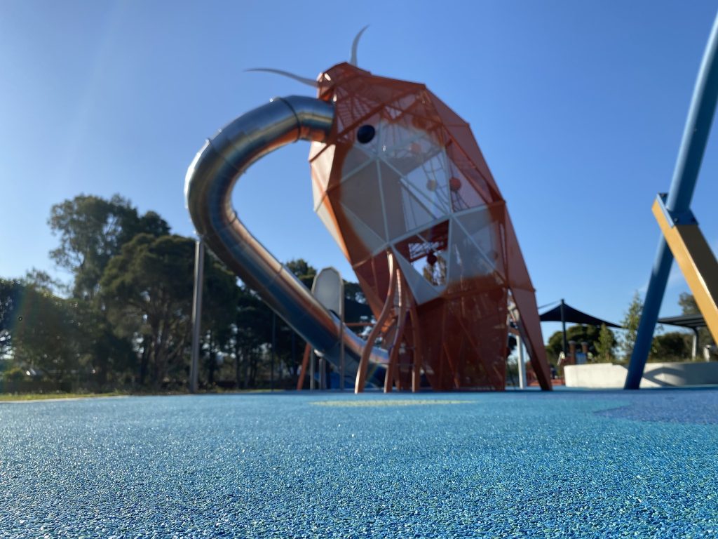 Bareena Park Playground 2